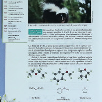 Libro parte 2